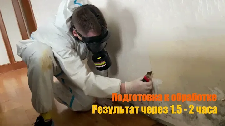 ОЗОНИРОВАНИЕ | Удаление плесени со стен