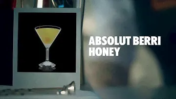 ABSOLUT BERRI HONEY DRINK RECIPE - HOW TO MIX