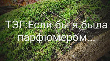 ТЭГ: Если бы я была парфюмером...