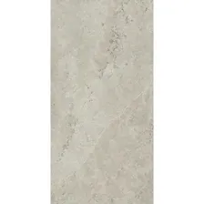 Керамогранит Italon Metropolis 610010002628 Абсолют Сильвер 60x120