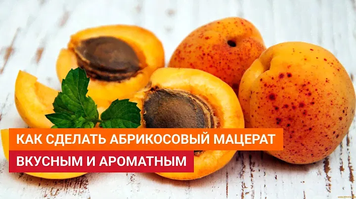 Как сделать абрикосовый мацерат таким вкусным и ароматным, что потом не отличишь от дистиллята 🍑