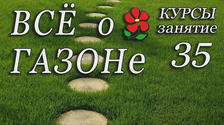 Всё о газоне в одном видео. Курсы. Урок 35.
