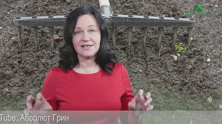 Как подготовить почву для посева газона?