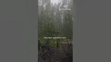 Эфирные масла с "настроением" ливень с грозой