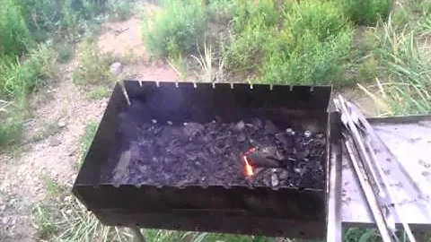 уголь для шашлыка, купленный в магазине Абсолют, регион Бурятия, Россия