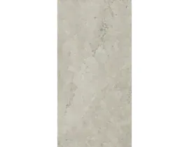 Керамогранит Italon Метрополис Абсолют Сильвер (610010002628) 60x120