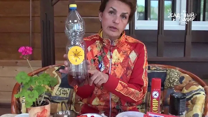 Как избавиться от мух и ос  Препараты Мухояр